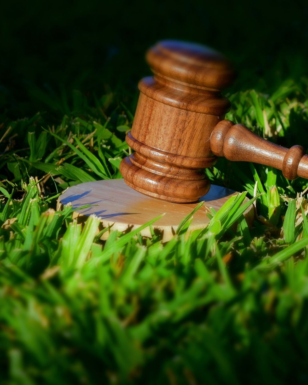 İklim Kanunu Dosyası